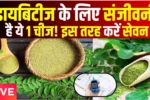 Moringa Leaves For Diabetes